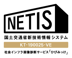 NETIS 国土交通省新技術情報システムのロゴ